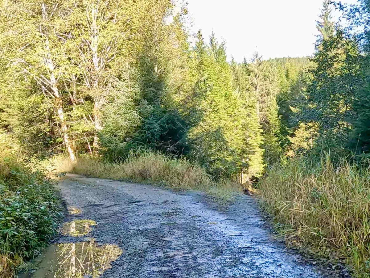 West Falls Creek Road - FS 3015100 photo 5
