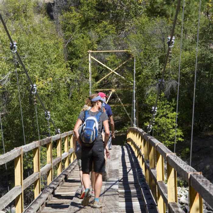 Near Middle Fork of the Salmon River Trail a Day 3