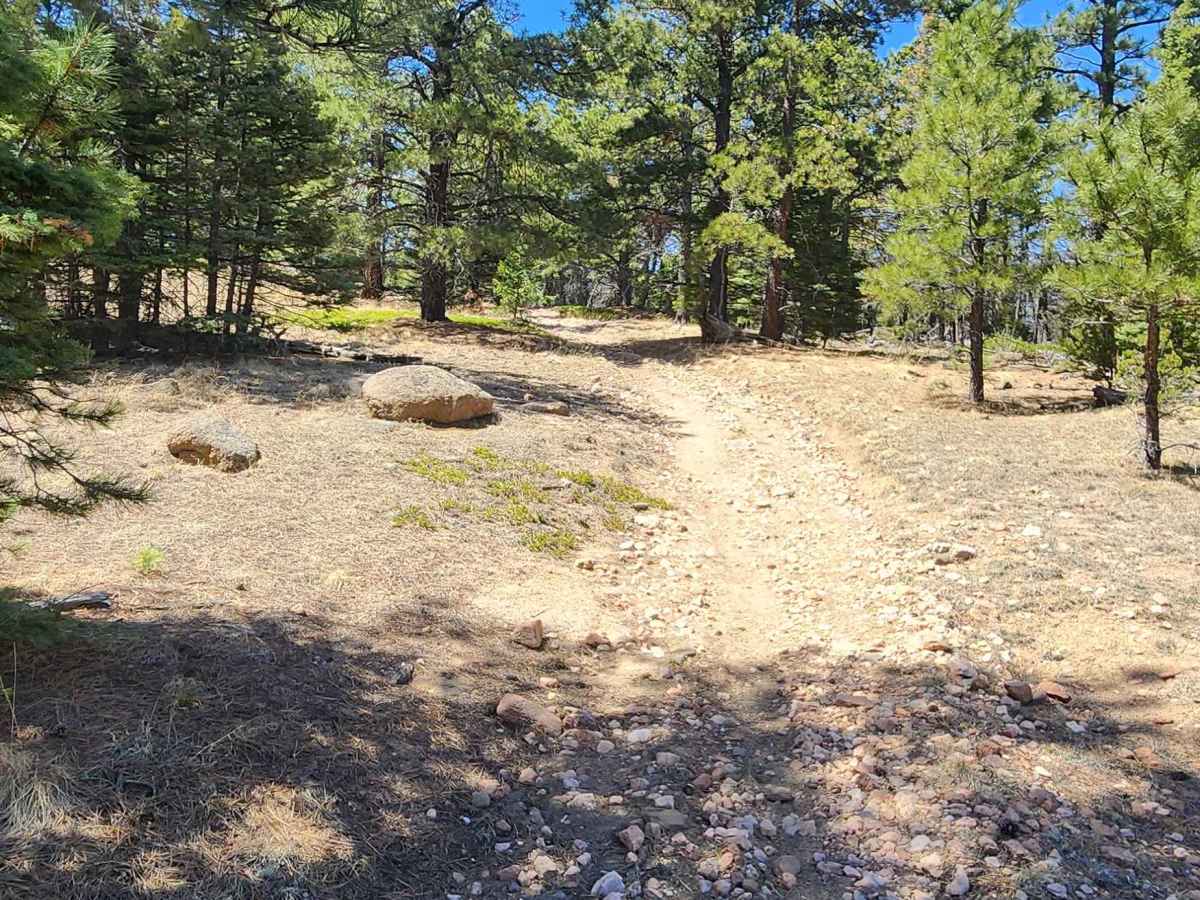 East Bear Trail photo 5