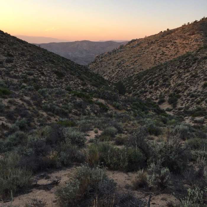 Near Pacific Crest Trail: California Section F