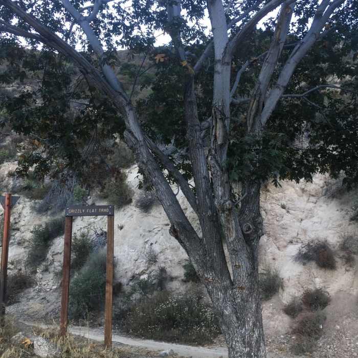 Near Grizzly Flat Road #2N79