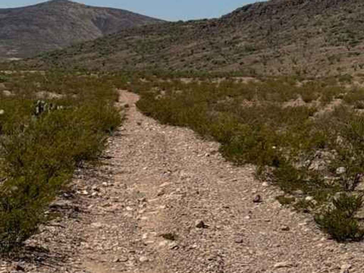 BLM SS1046B trail photo
