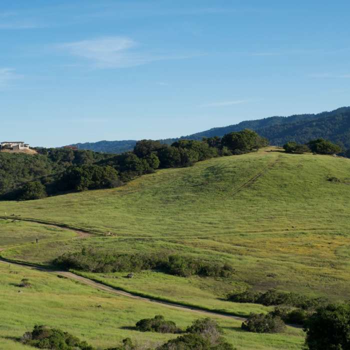 Near Edgewood Nature Preserve Loop