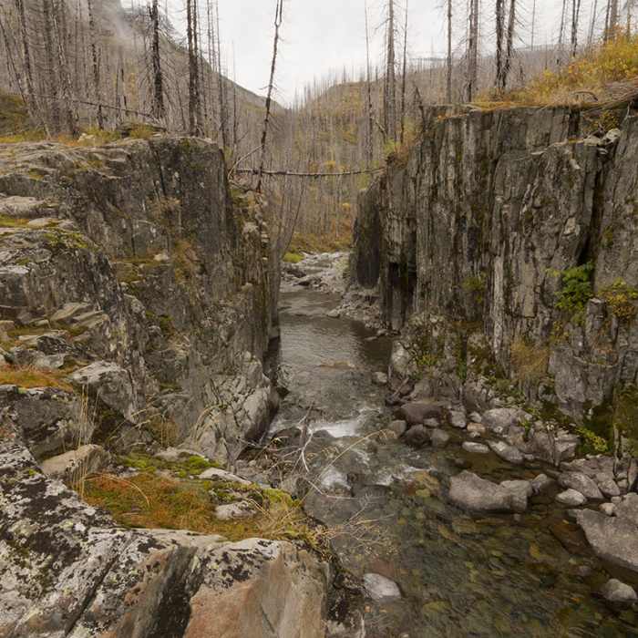 Near Mineral Creek Trail