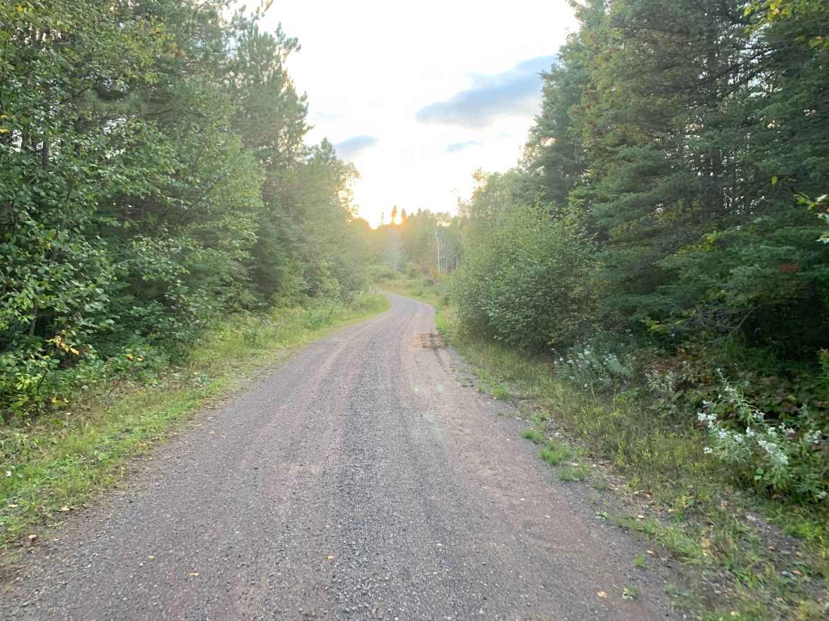 Cloquet Lake Road - FS 102 photo 3