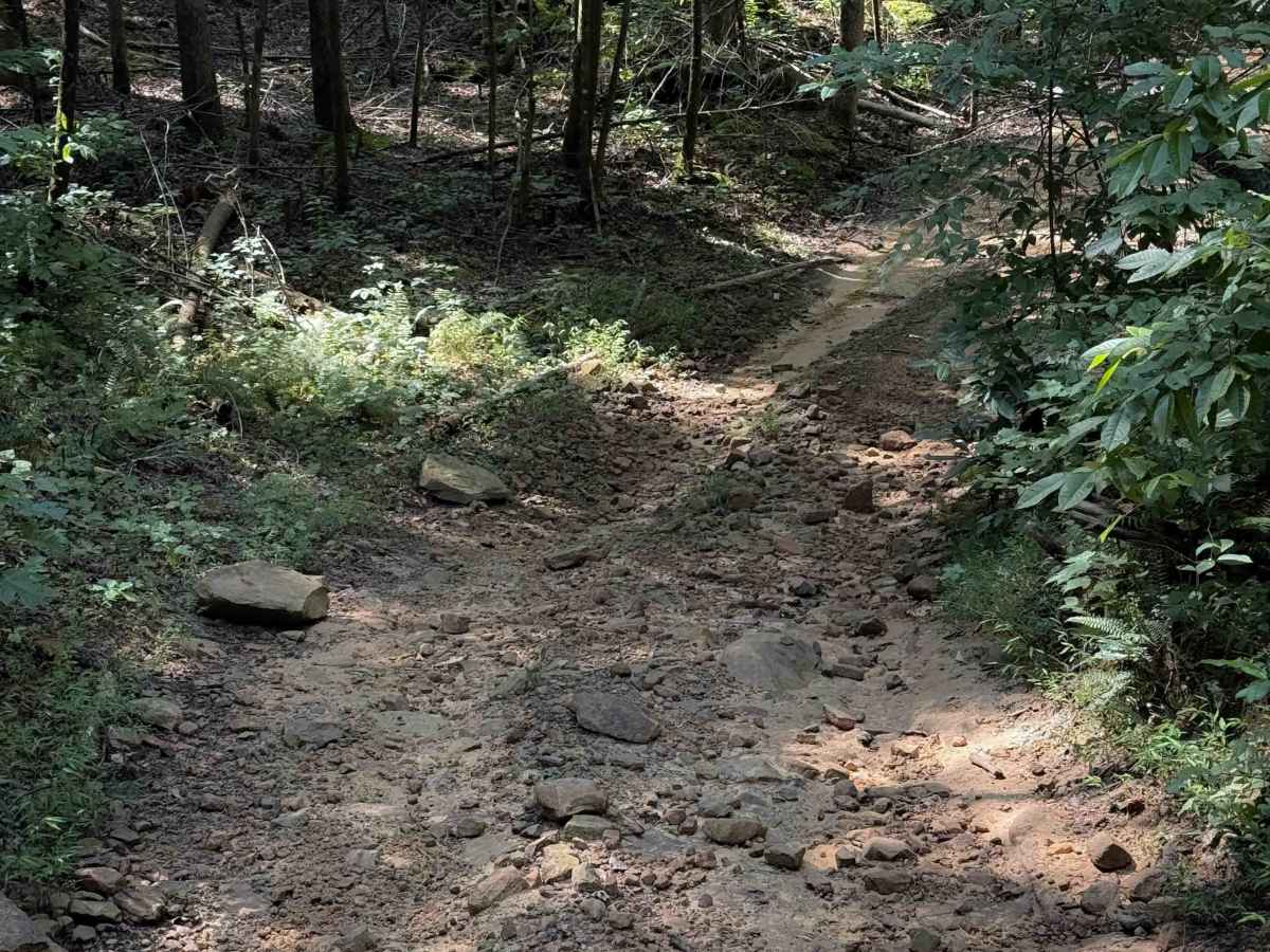 Muse Hollow Trail photo 5