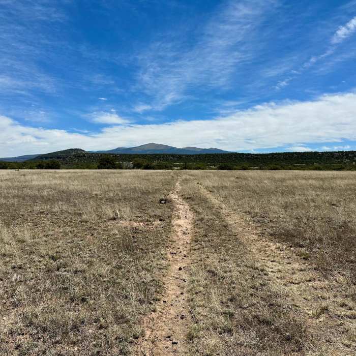 Near CDT: New Mexico Section 21
