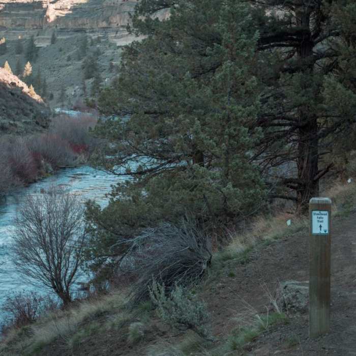 Near Steelhead Falls