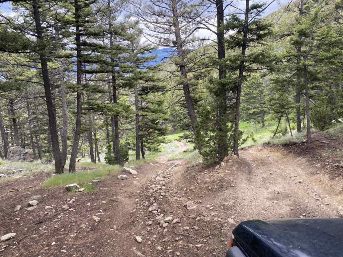 Ringing Rocks Trail trail photo