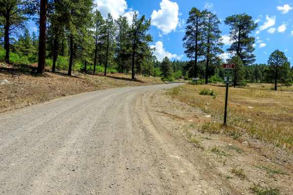 Navajo Peak Road - FS 731