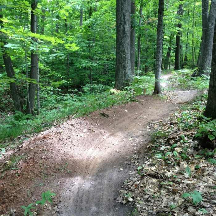 Linked berms on Twilight Zone. Near Inner Peace Loop