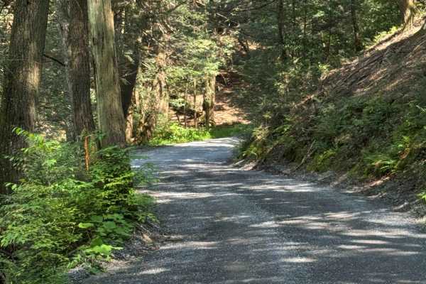 Boone Road