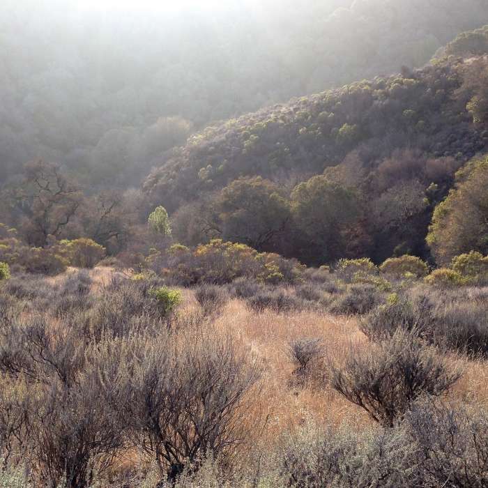 Near Dick Bishop Trail