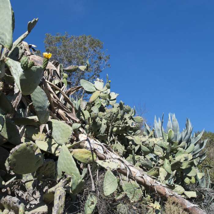Near Echo Mountain Hike via Sam Merrill Trail