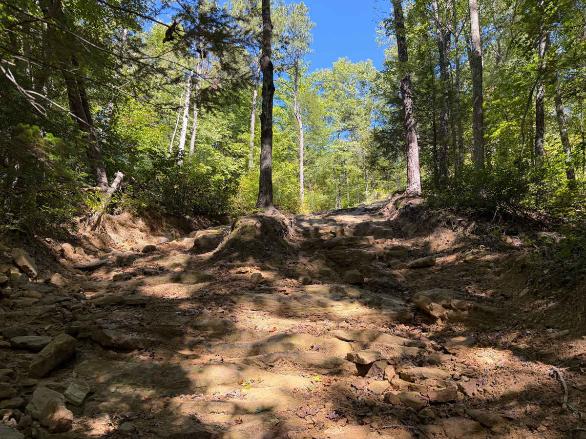 63 trail photo