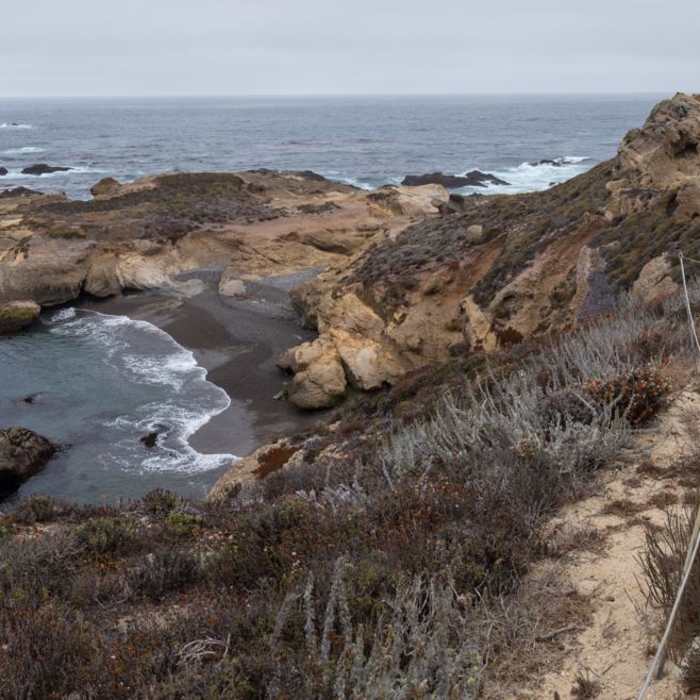 Near Sea Lion Point + Sand Hill Trails