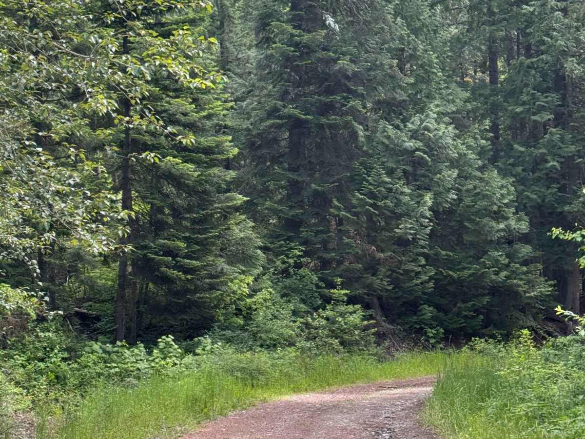 Highline Road - FS 2212 photo 5