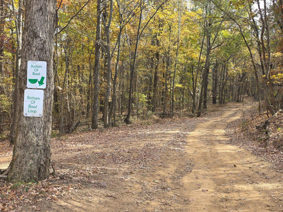 Bottom Of Bowl Loop trail photo