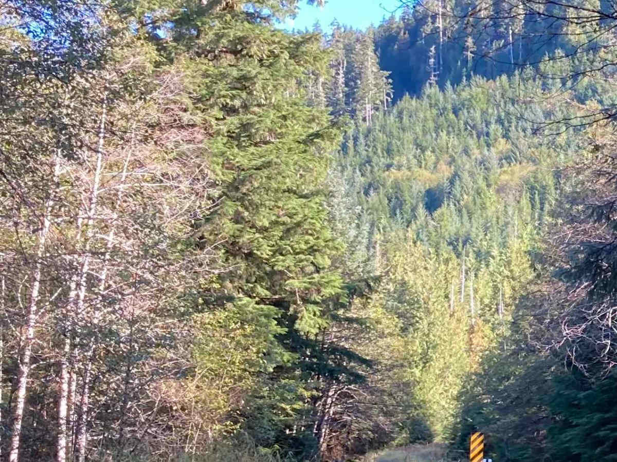Echo Spur Road - FS 3015600 photo 4