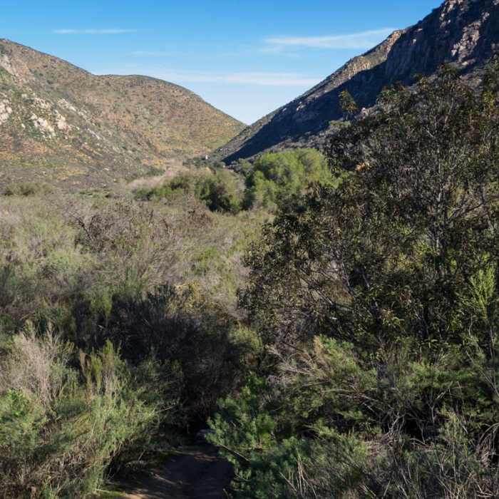 Near Mission Trails Regional Park, Visitor Center Loop