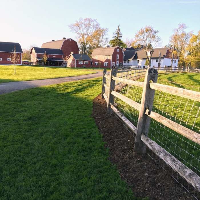 Near the entrance to the dog park and the iconic red barns at Knox Near Knox Farm Medium Loop