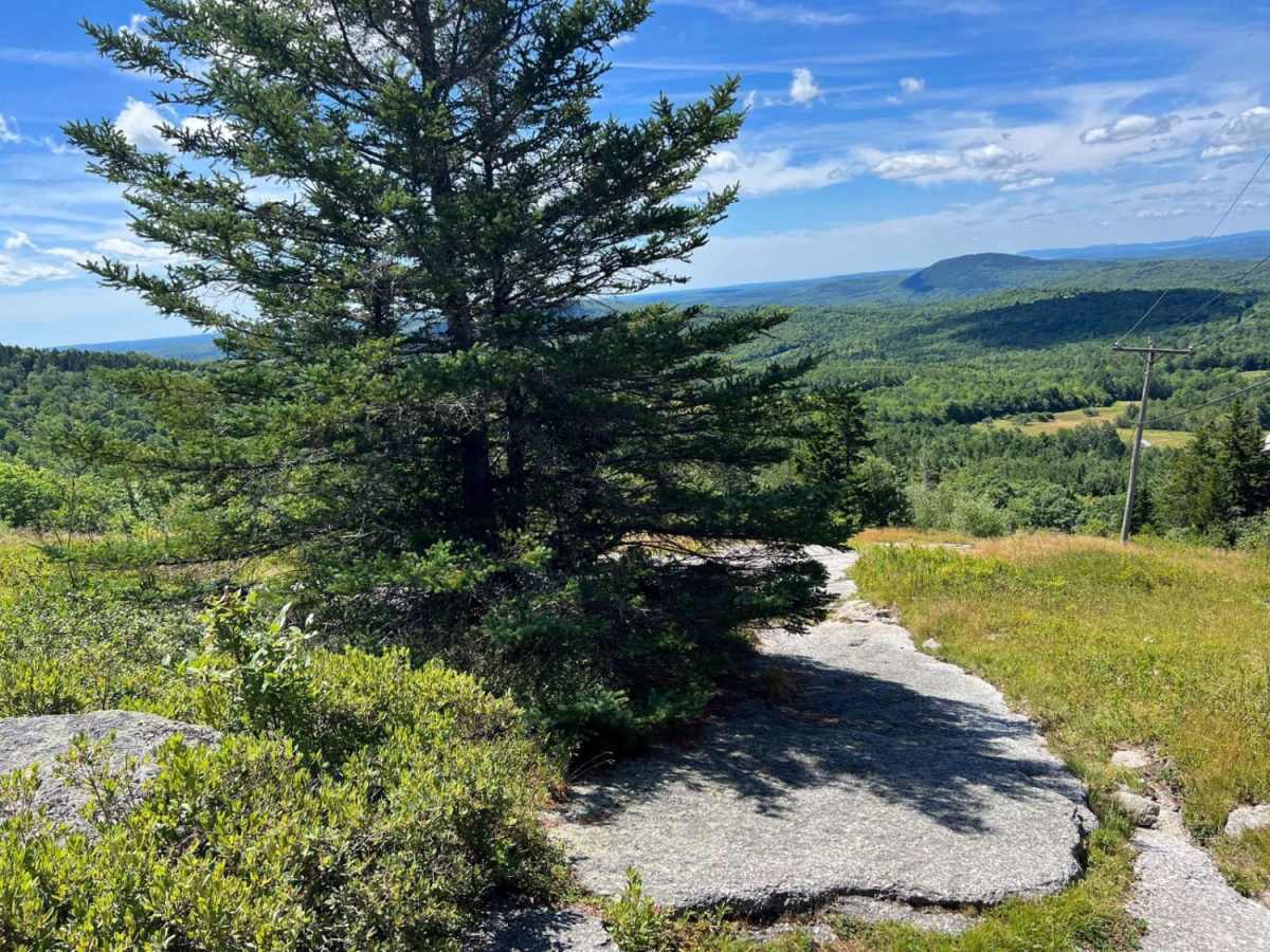 Bald Mountain photo 4