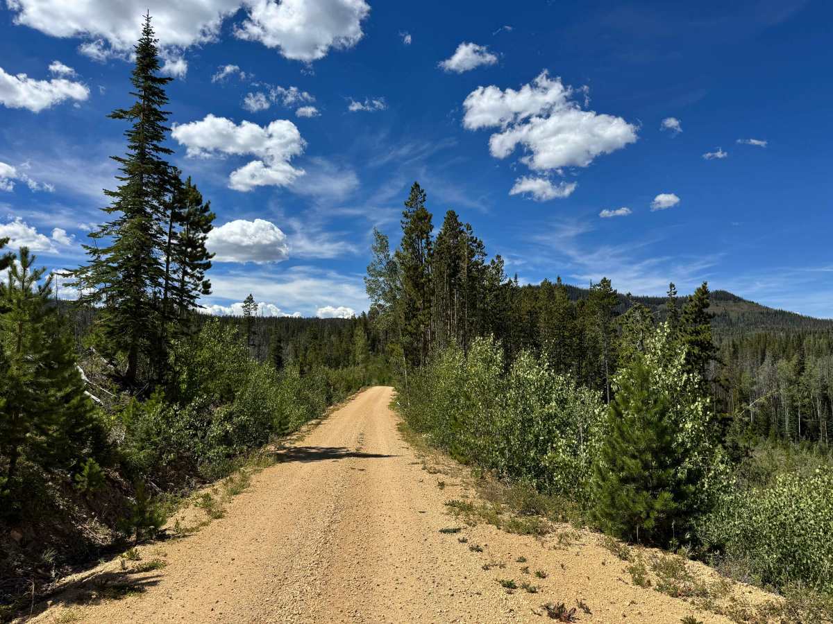 South Fork Arapaho Creek Road trail photo