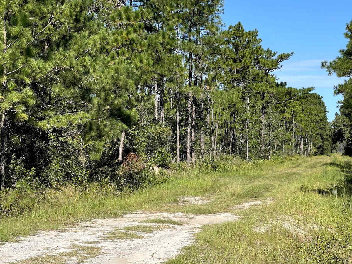 Drake Road trail photo