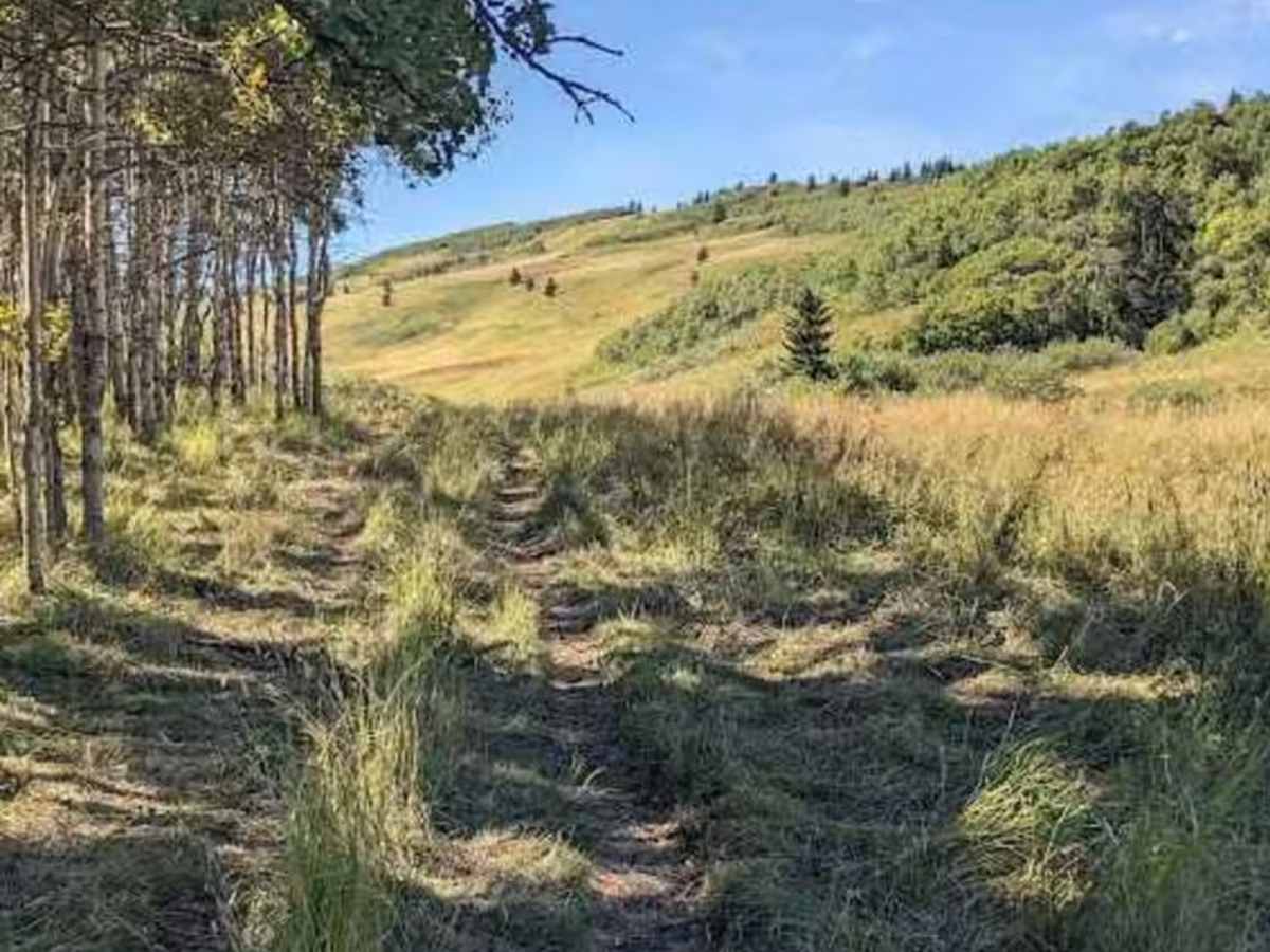 Porcupine Hills Trail 46 photo 5
