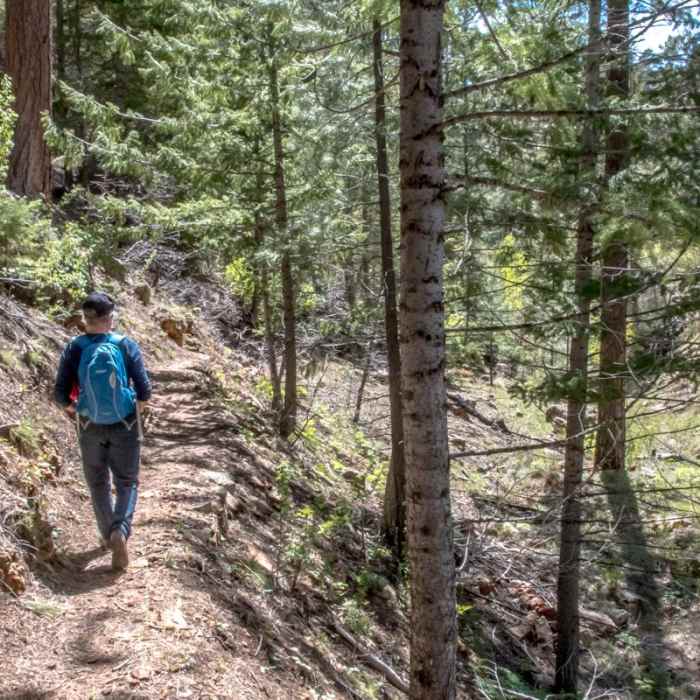 Near Cliff Springs Trail