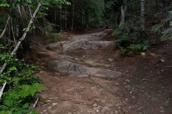 Petroglyph Hydroline