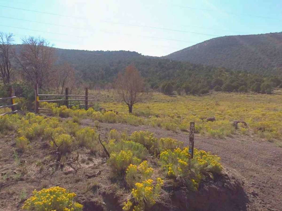 County Road 3469-PST42 photo 2