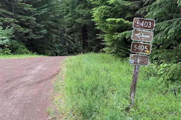 Lizard Lake Borup - FS 5403