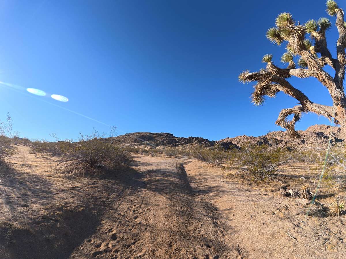 BLM SV2613 photo 3