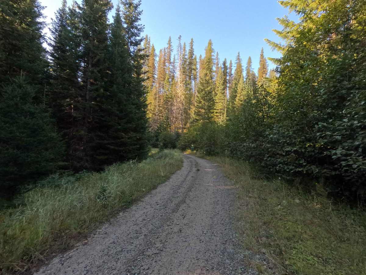 Klahowya Creek - FS 1075 photo 2