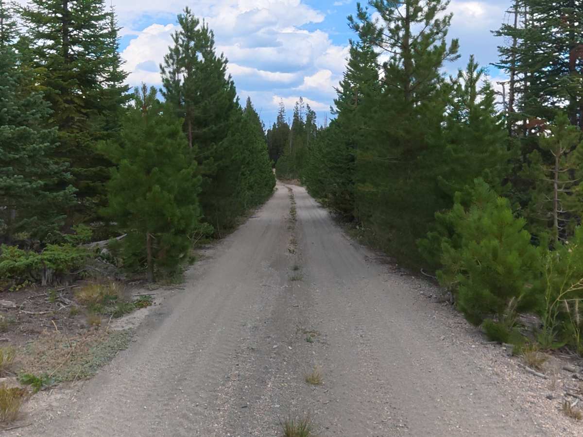 FS 516 trail photo