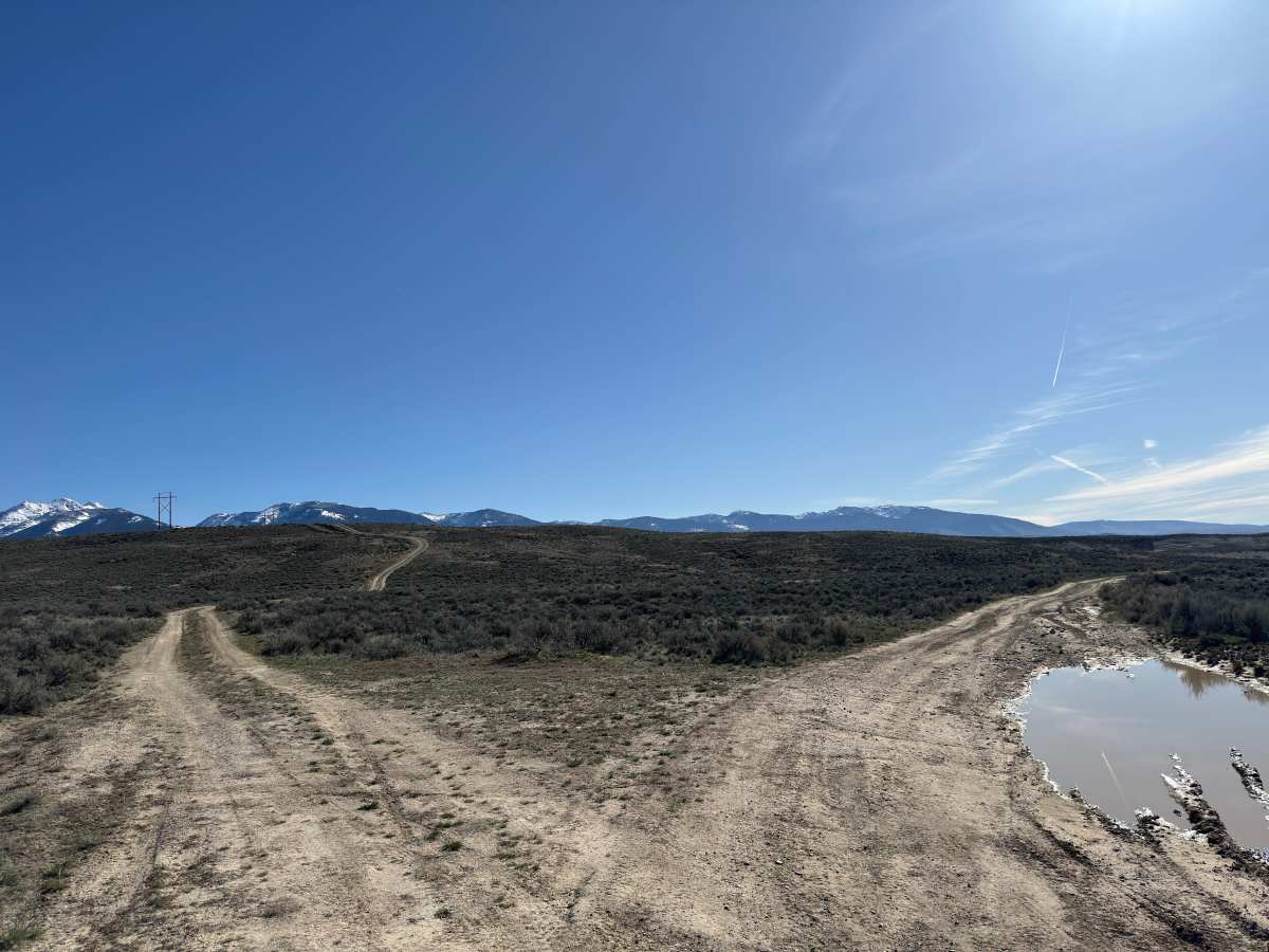 BLM 122 trail photo