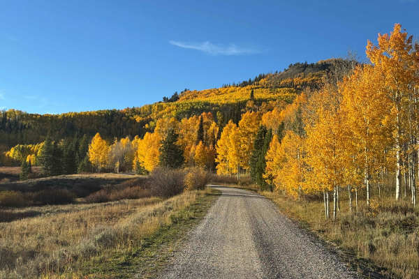 Iron Mountain Road
