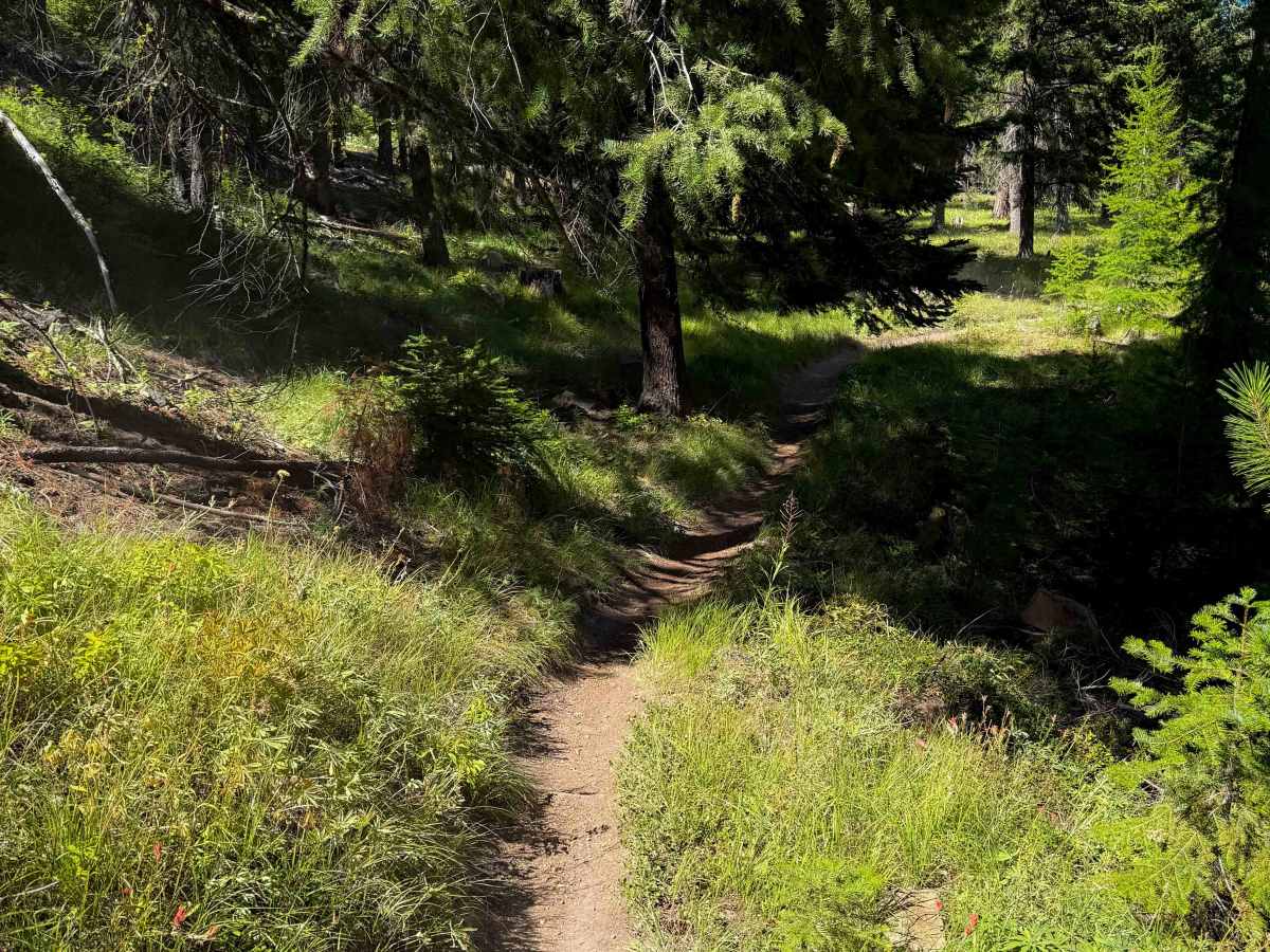Beehive Trail 1202  photo 3