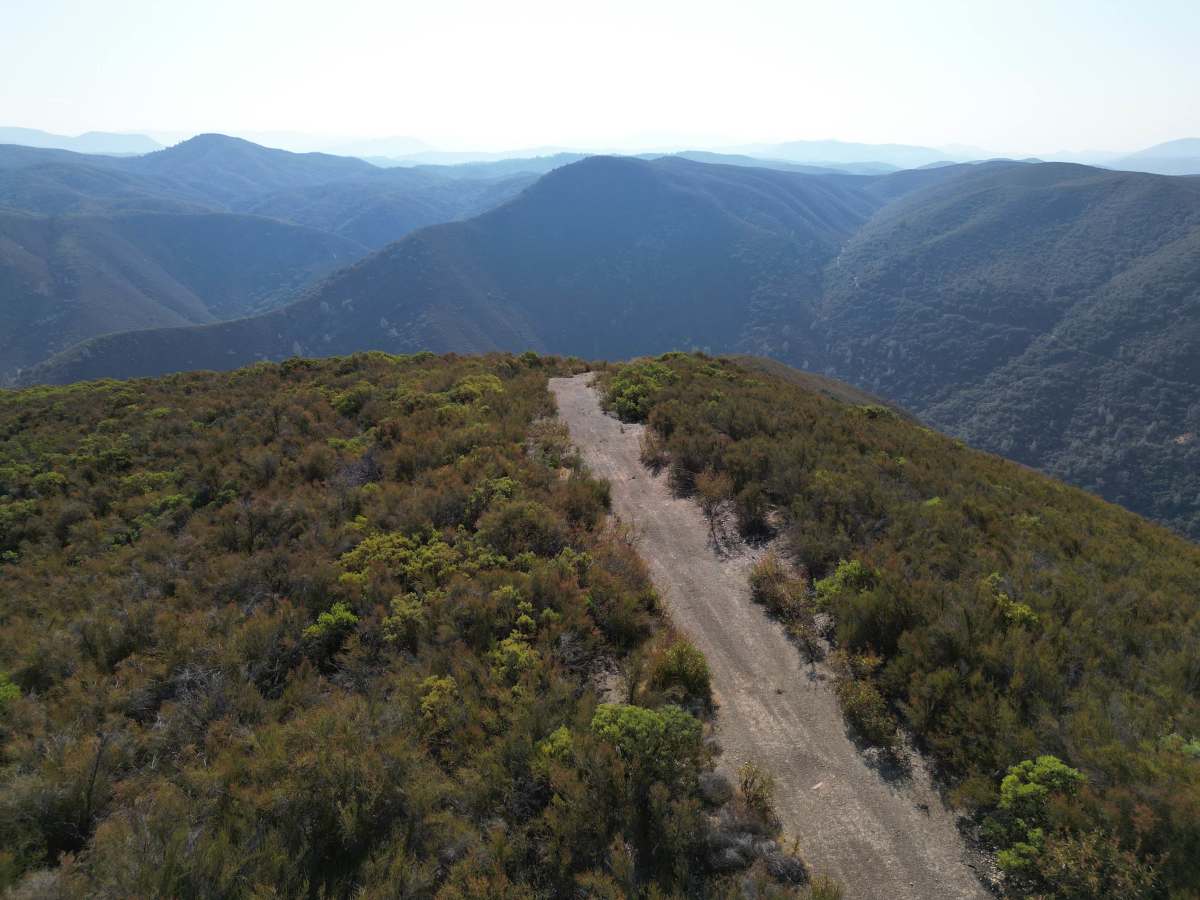 Low Times trail photo