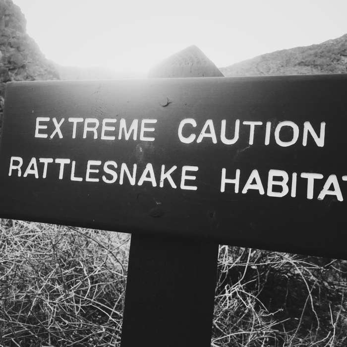 Near South Lykken Trail