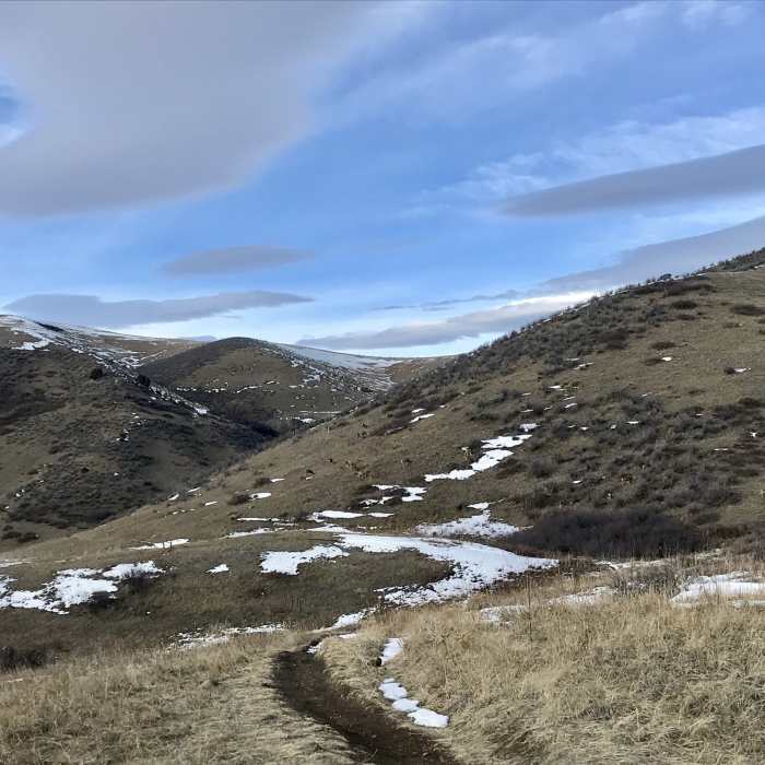 Near Green Mountain Summit Loop