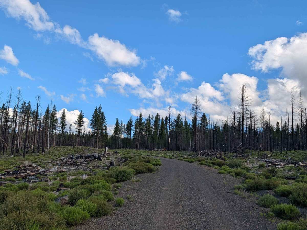 Tennant Lava Bed Road - FS 44N28 photo 4