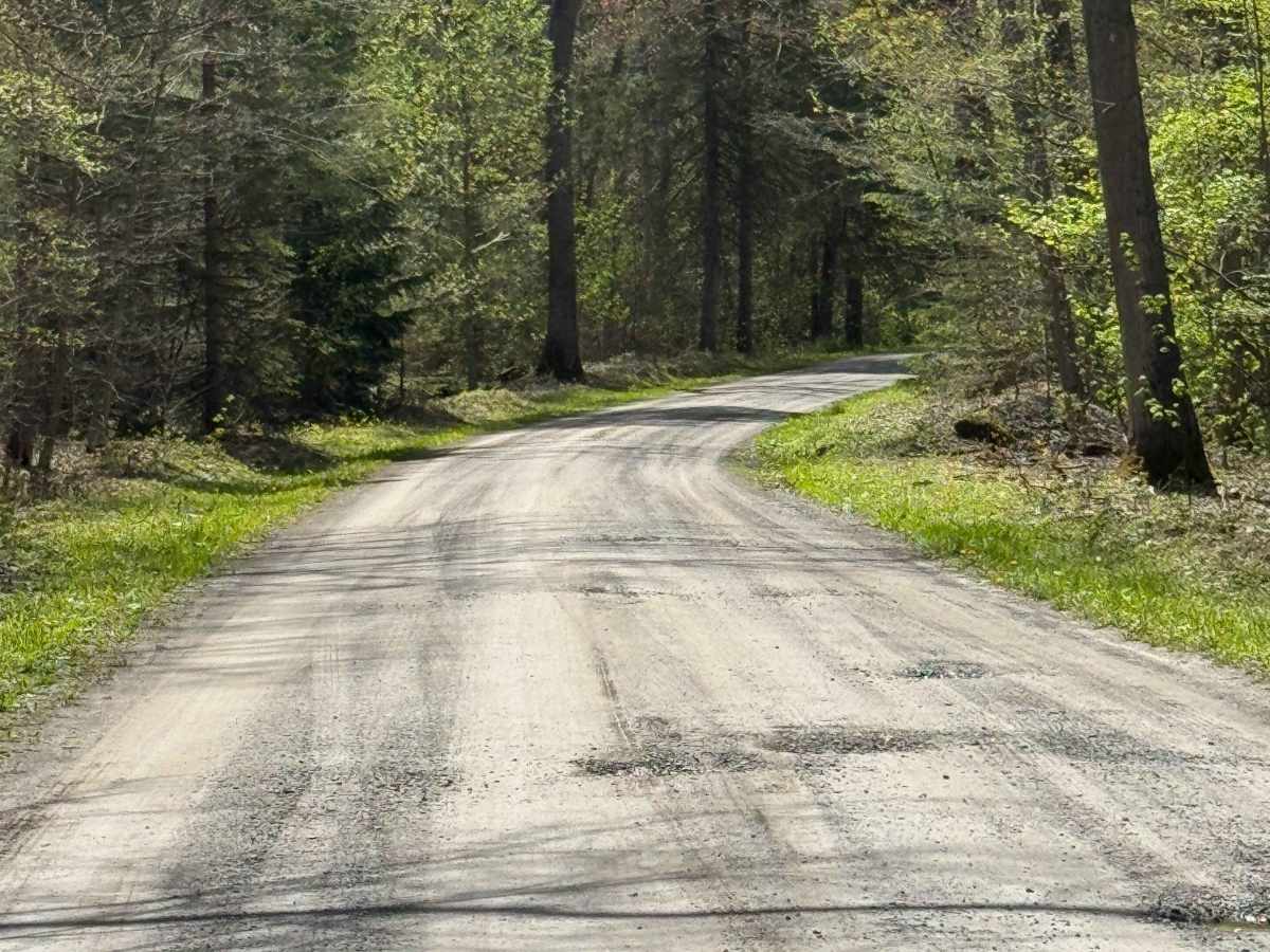 Crystal Springs Road photo 3