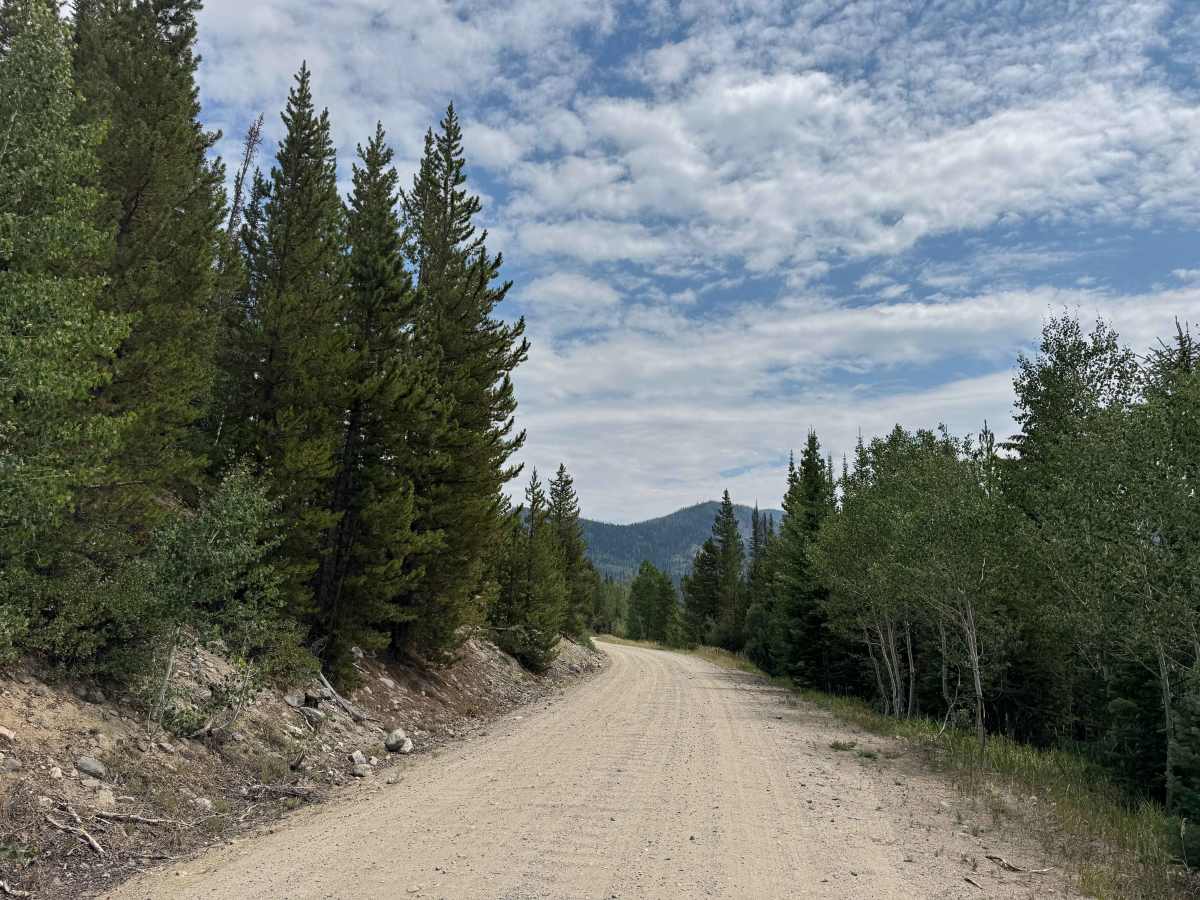 South Elk River Road photo 6