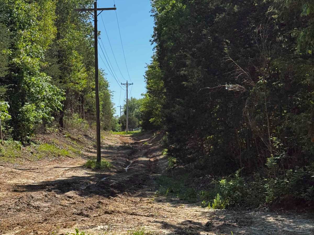 Powerlines trail photo
