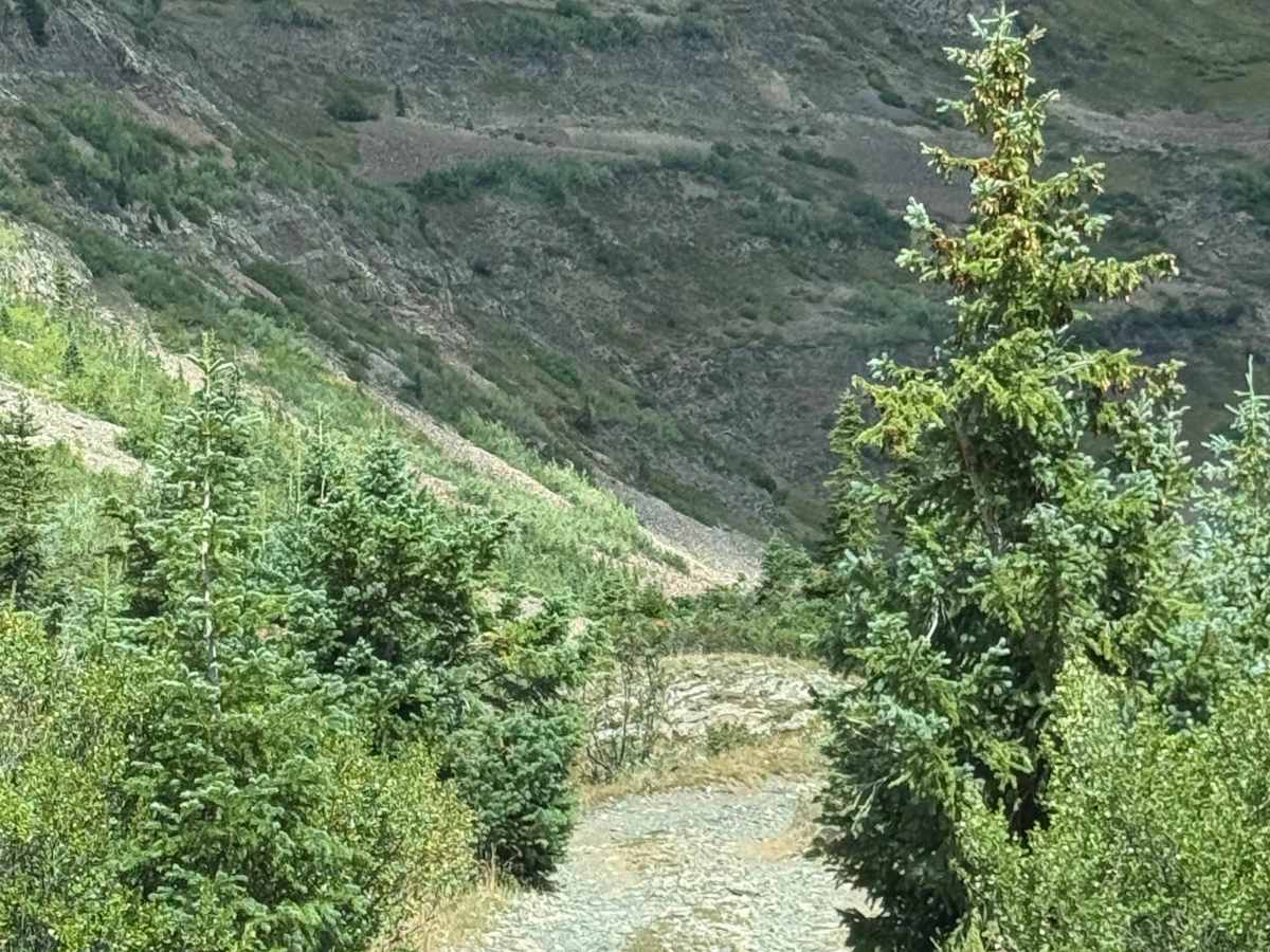 Poverty Gulch photo 6