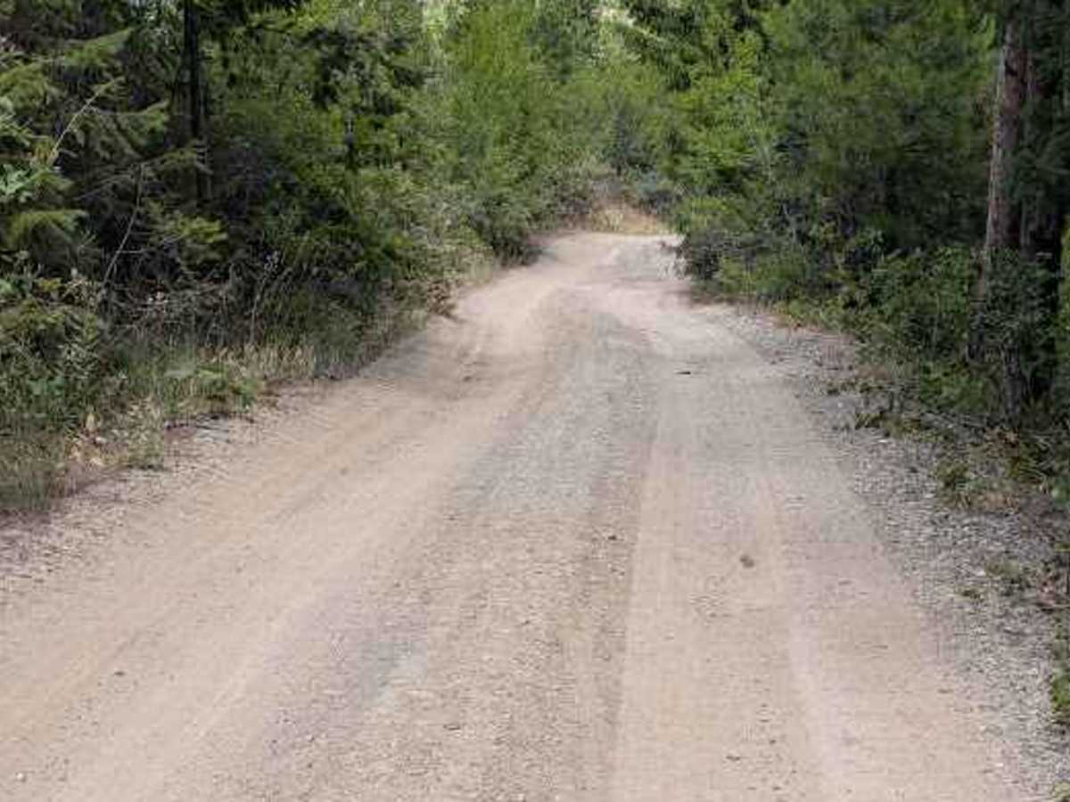 Boundary Butte Road - FS 7300-500 photo 6