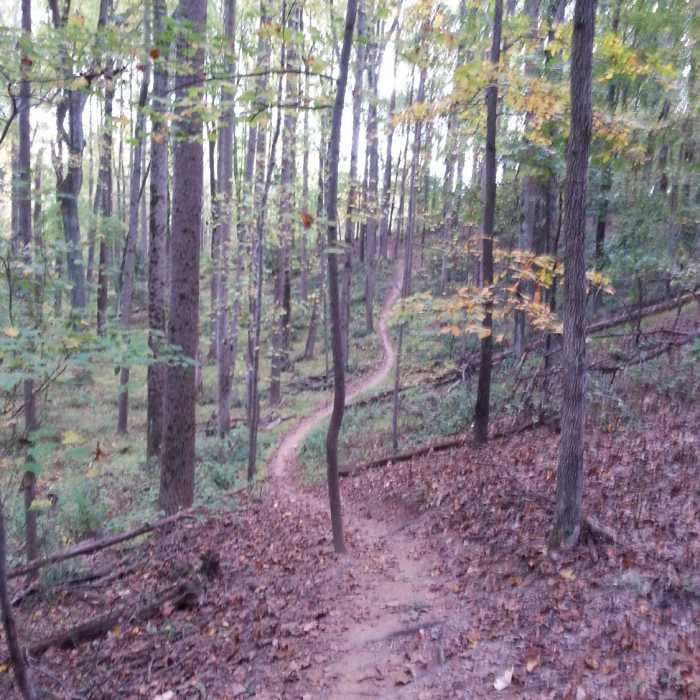Near Sidetrack Trail