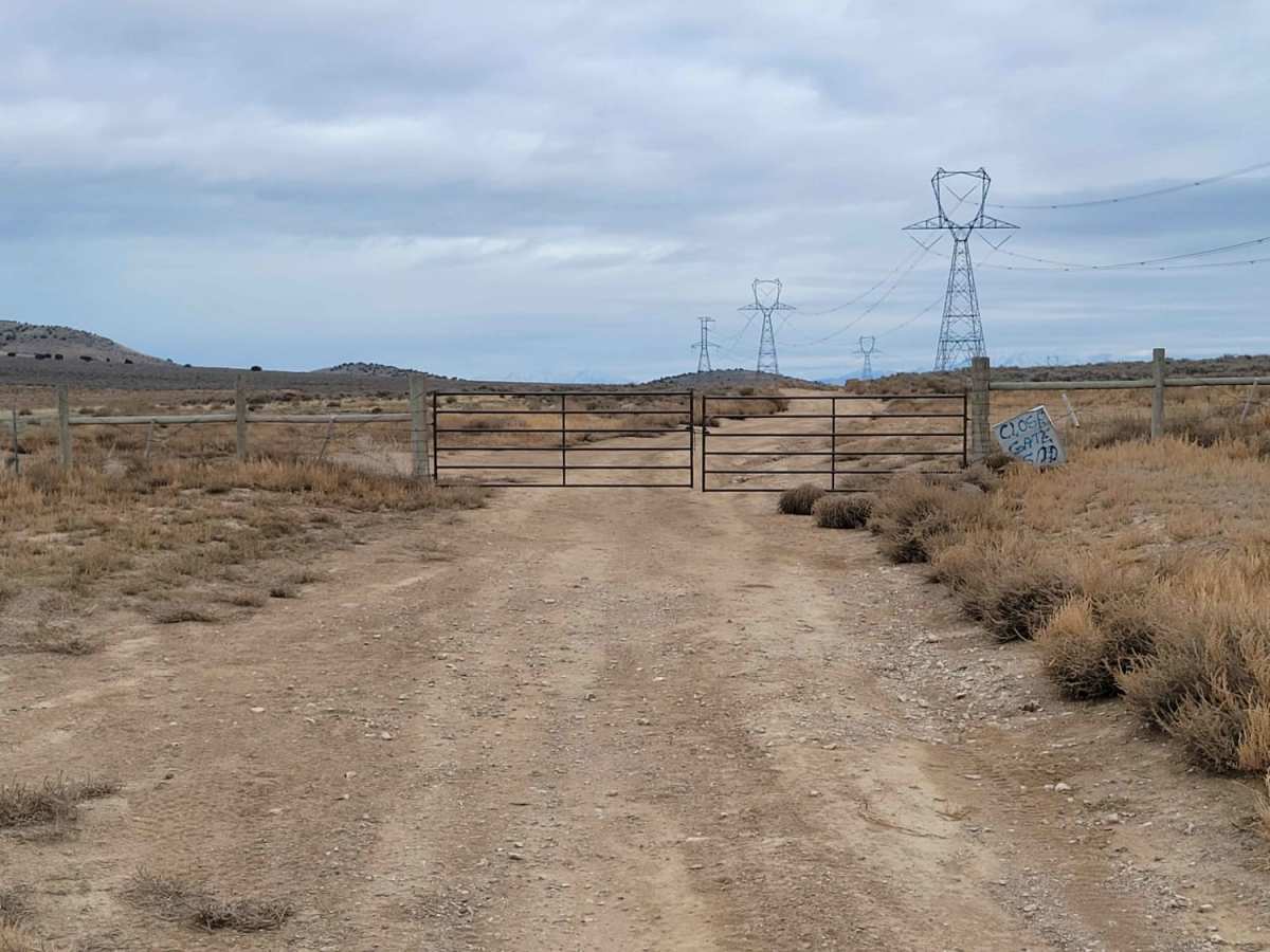 Twelve Mile Pass Road trail photo